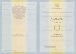 Диплом специалиста 2010 — 2011 г.