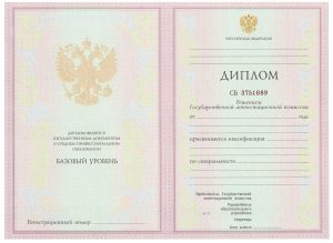 Диплом техникума — колледжа 2004-2009 г.